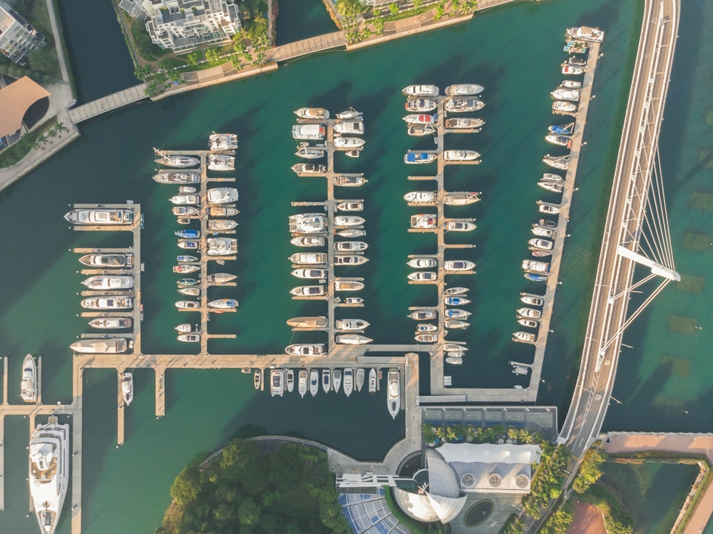aerial photo of docked boats during daytime