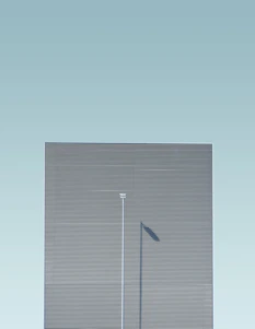 Minimalist illustration of a calm São Paulo street with subtle forest green accents.