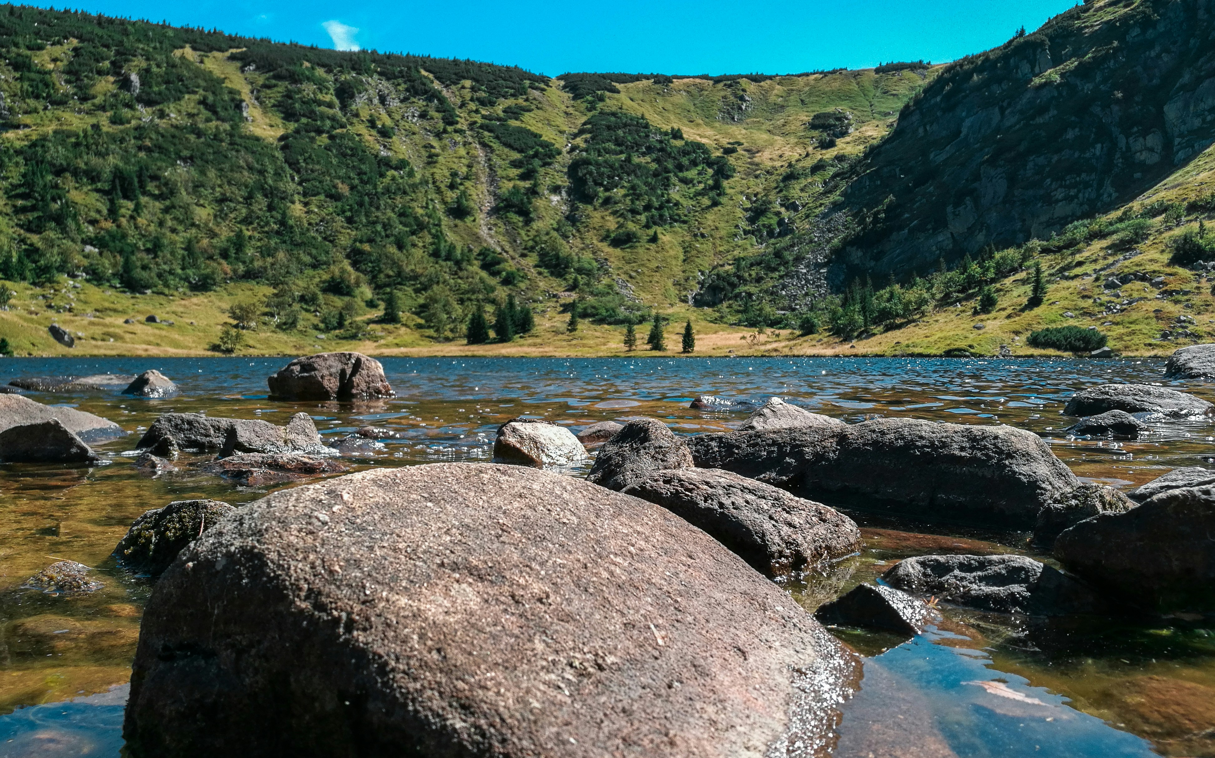 Central Sudetes