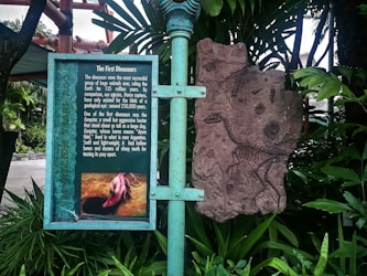 Menelusuri Komunitas Dinosaurus Masa Kini