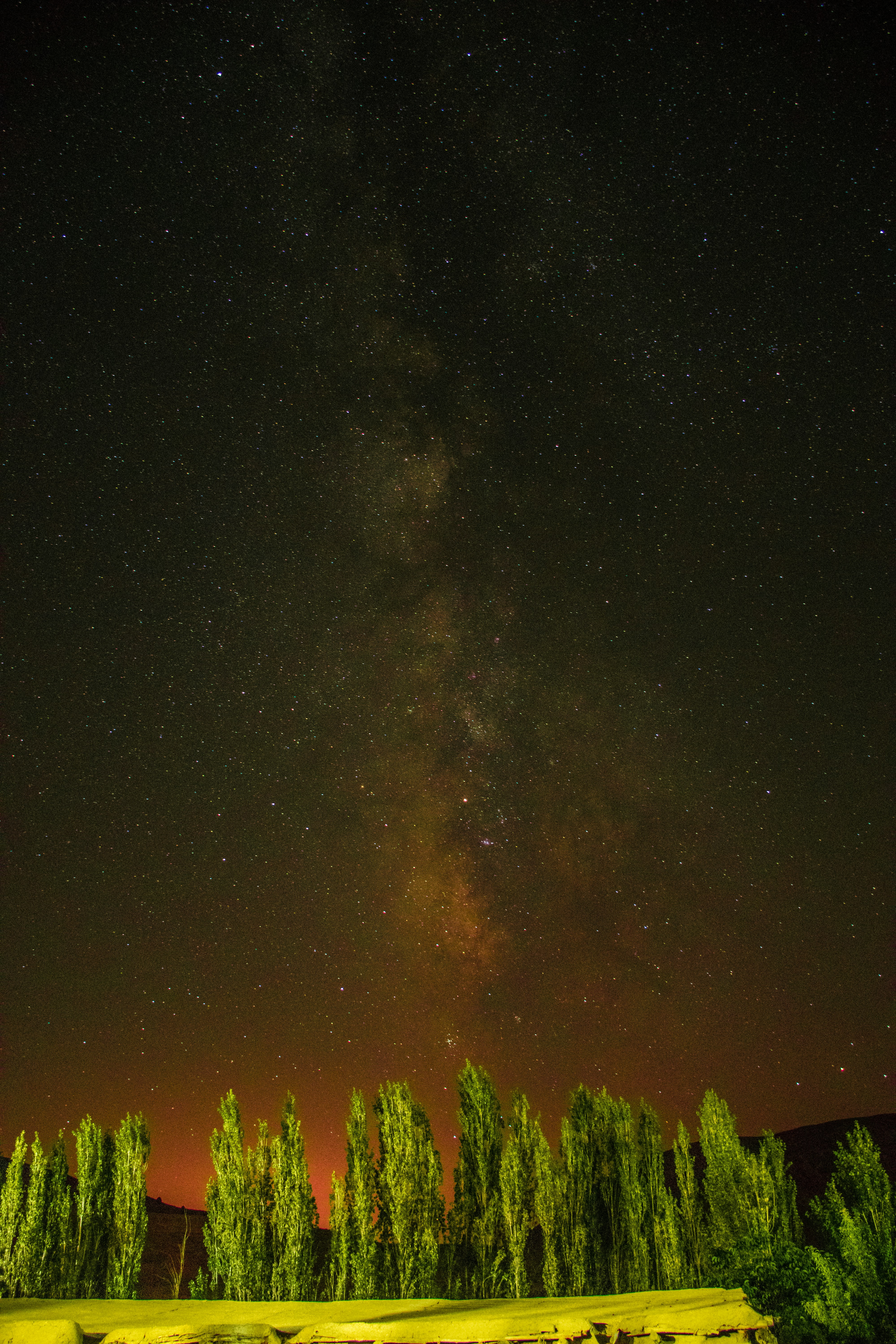 木の壁紙の写真 Unsplashで見つけるイランの無料写真