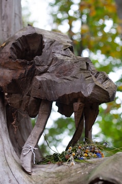 A wooden sculpture resembling an animal skull with large tusks, placed outdoors against a background of blurred green foliage. Below the wooden structure lies a collection of colorful wildflowers, adding a contrast of natural beauty against the rustic, carved wood. The intricate textures and details of the wood highlight the craftsmanship.