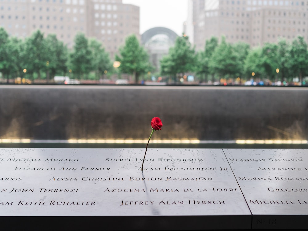 US Commemorates 22nd Anniversary of 9/11 post image