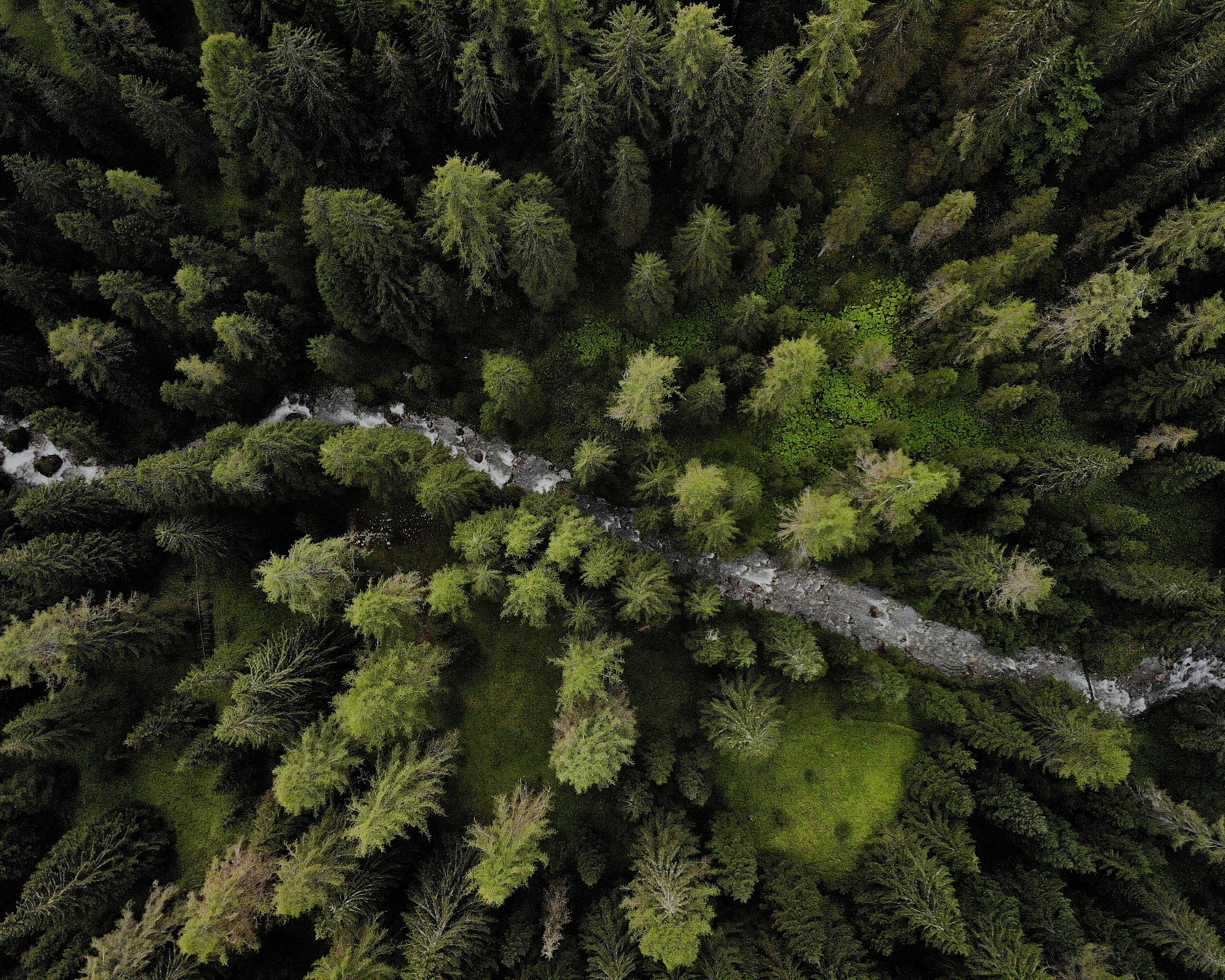 Photo by andrea_rapuzzi