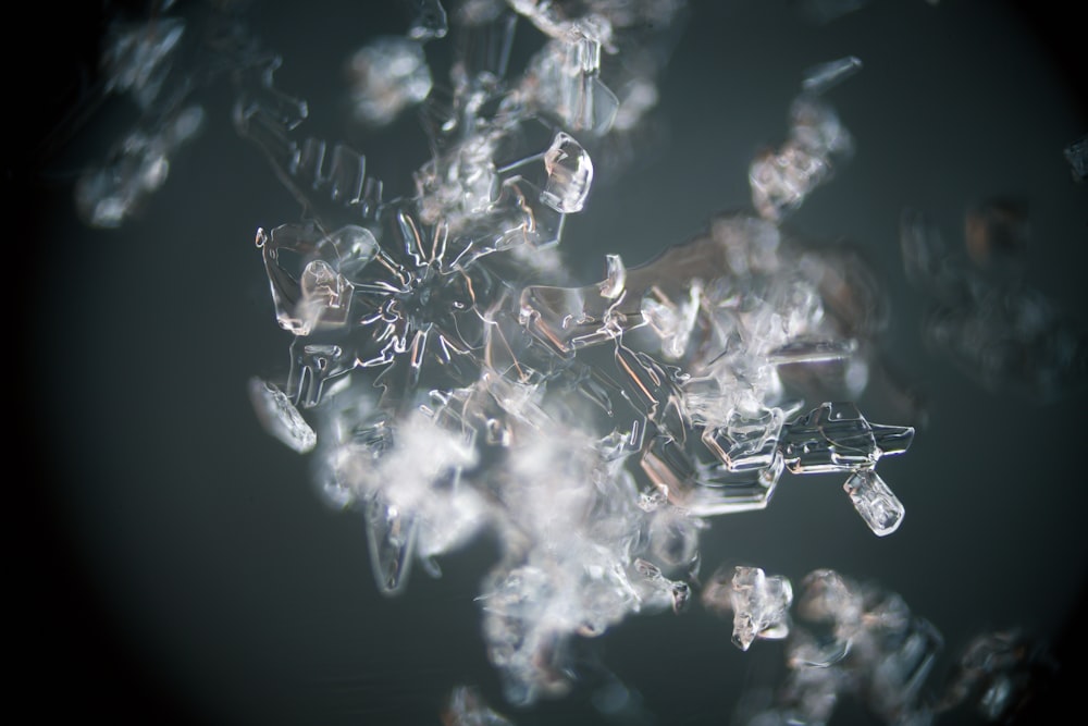 close-up photo of white frosted snow