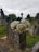 A cemetery scene with several old tombstones surrounded by overgrown grass and trees. In the foreground, a stone pedestal with intricate carvings is adorned with a bouquet of white flowers. The sky is overcast, creating a somber atmosphere over the graveyard.