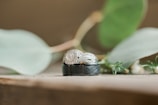 A set of wedding rings featuring a diamond engagement ring and a black band, elegantly placed on a wooden surface with soft-focus green leaves in the background.