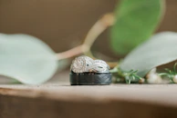 A classic three-stone engagement ring set against a rustic wooden background.