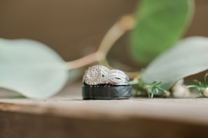 A set of wedding rings featuring a diamond engagement ring and a black band, elegantly placed on a wooden surface with soft-focus green leaves in the background.