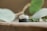 A set of wedding rings featuring a diamond engagement ring and a black band, elegantly placed on a wooden surface with soft-focus green leaves in the background.