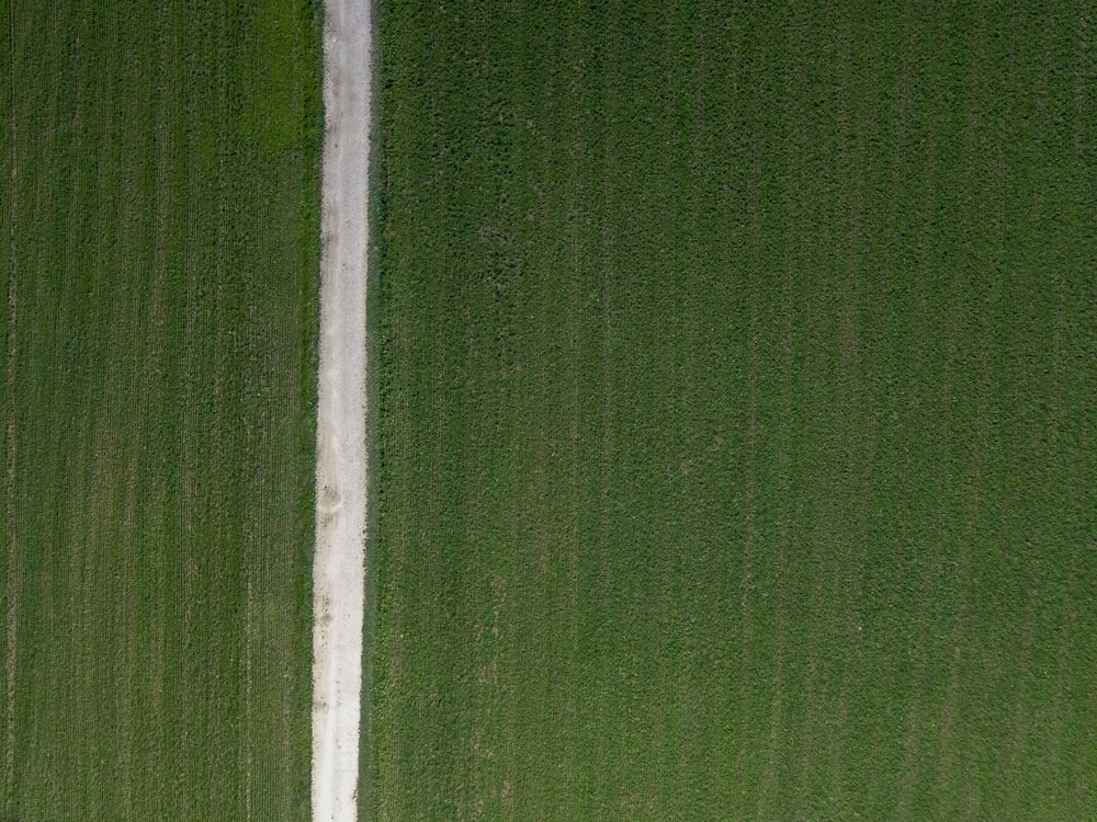 Photo aérienne de la route entre l’herbe pendant la journée