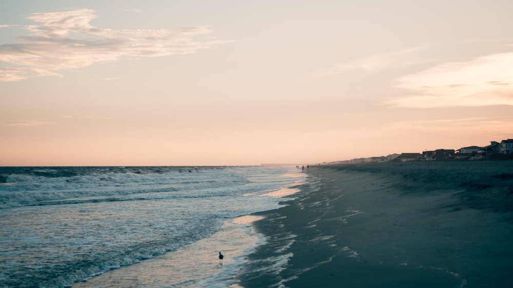 person standing on seashore during daytime