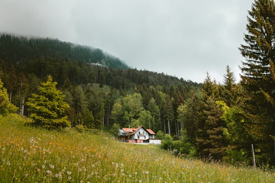 white and black concrete house in Graz Austria