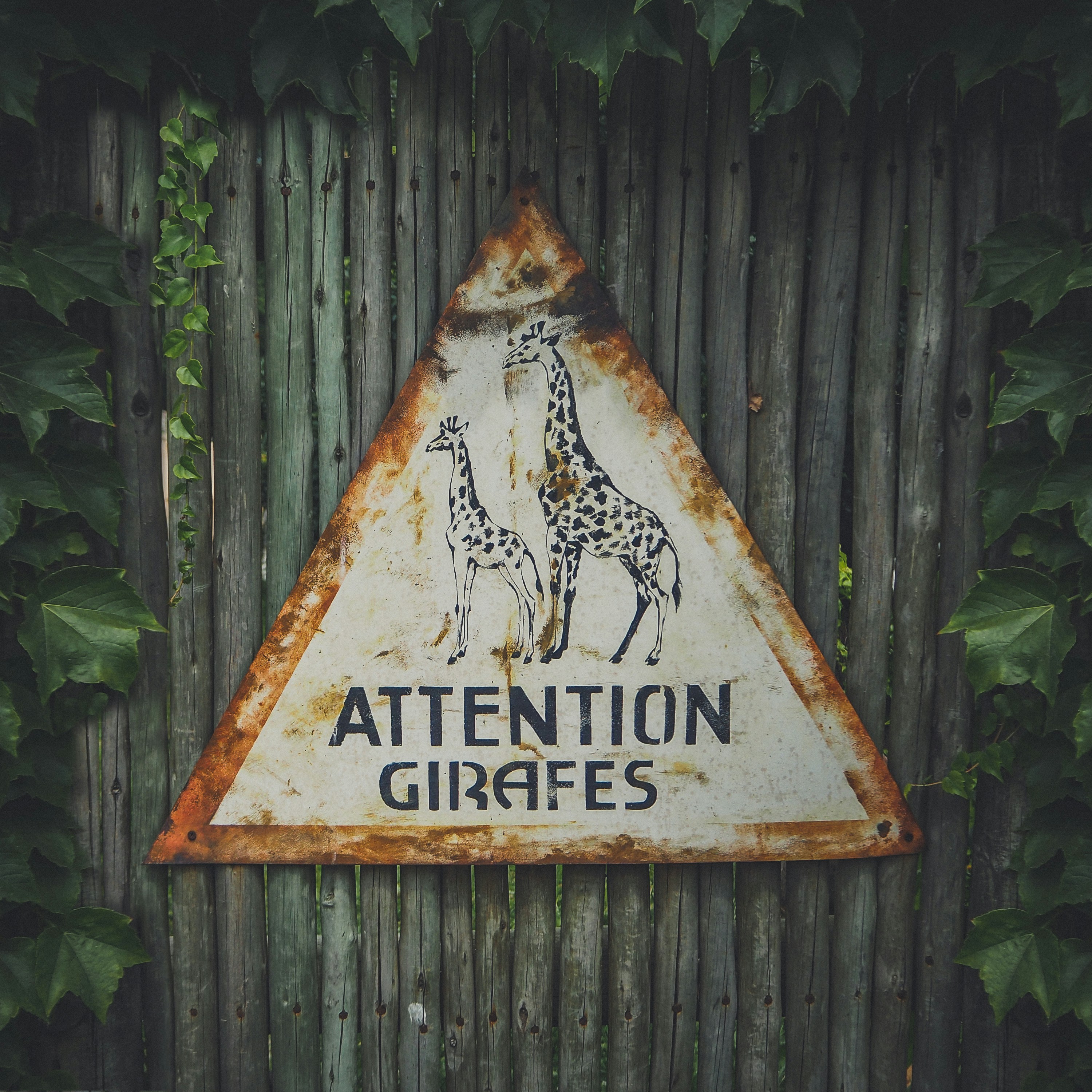 Are There Specific Signs That Indicate Someone is Genuinely Interested in Me?