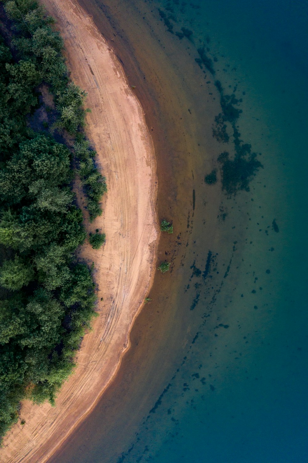 aerial view of beach