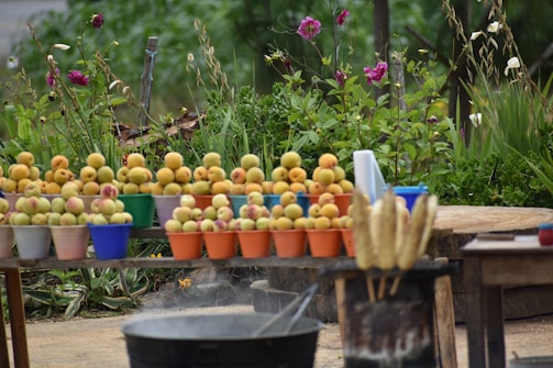 A rustic outdoor setting features numerous small colorful pots, each filled with stacks of ripe peaches or similar fruit. Behind the pots, a lush green garden is adorned with bright pink and white flowers. In the foreground, there is a cooking pot over a stove and some skewered food, possibly corn, resting nearby on a makeshift stand.