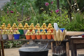 A rustic outdoor setting features numerous small colorful pots, each filled with stacks of ripe peaches or similar fruit. Behind the pots, a lush green garden is adorned with bright pink and white flowers. In the foreground, there is a cooking pot over a stove and some skewered food, possibly corn, resting nearby on a makeshift stand.
