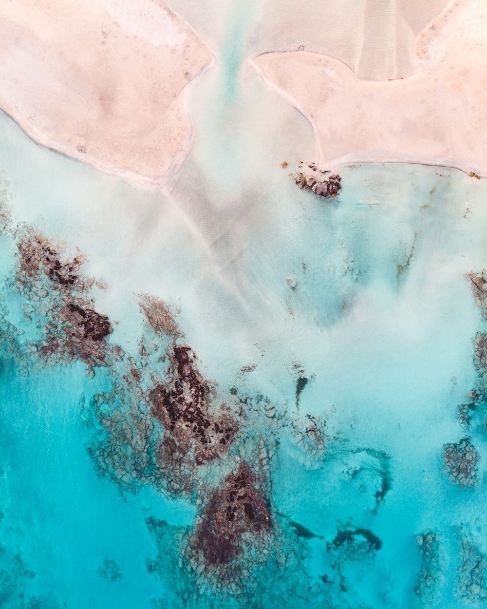 aerial photo of seashore during daytime