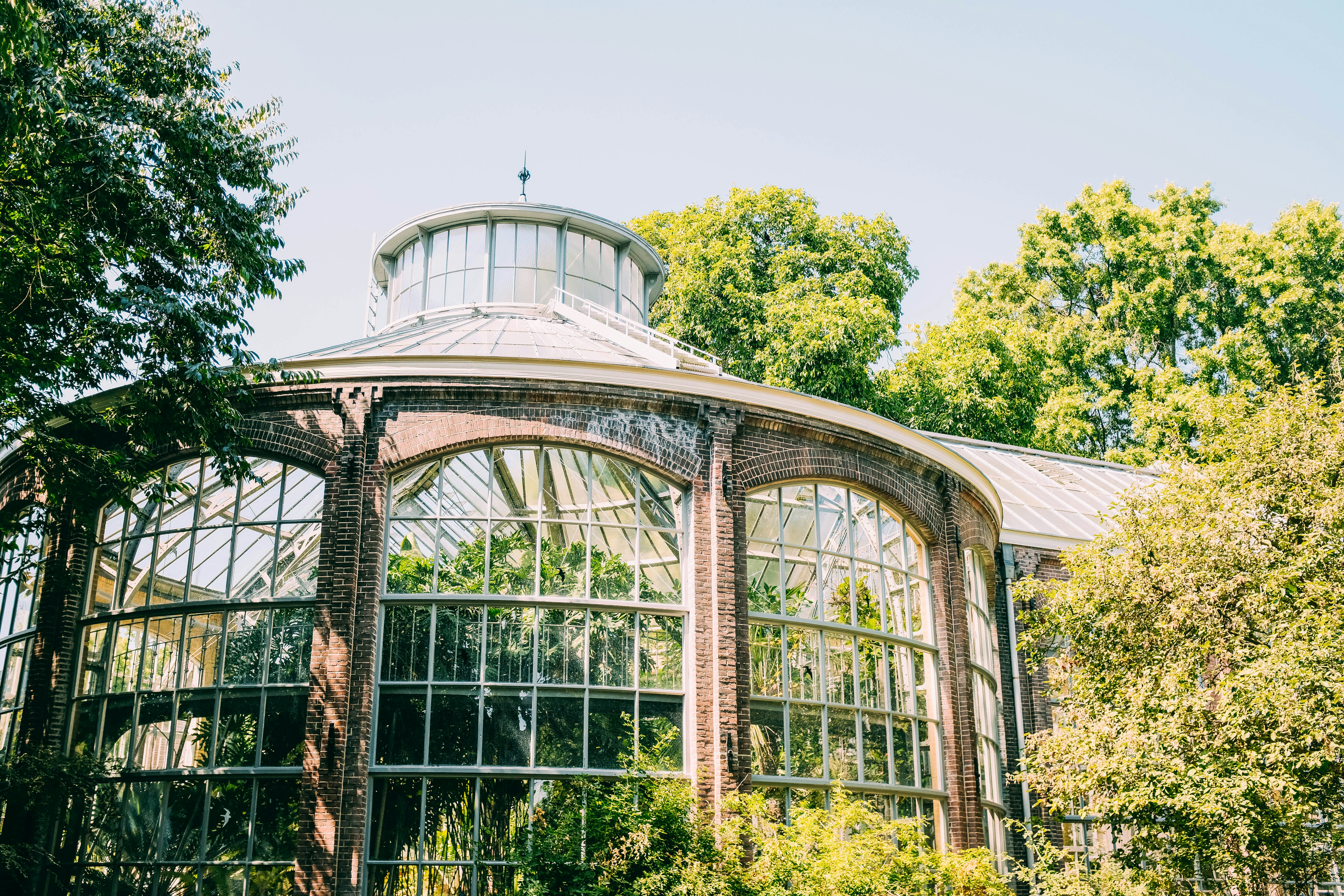 glass dome surrounded with trees
