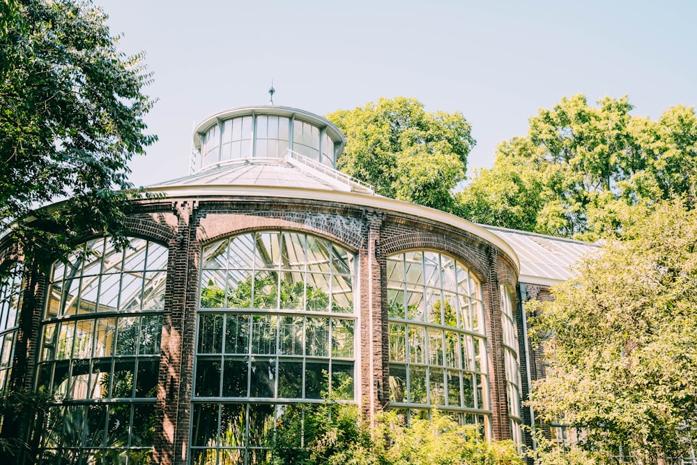 glass dome surrounded with trees