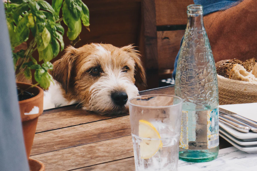 Small dog resting its head on a wooden table