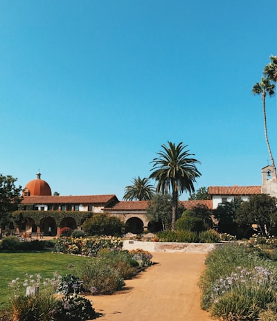 coconut trees near brown building