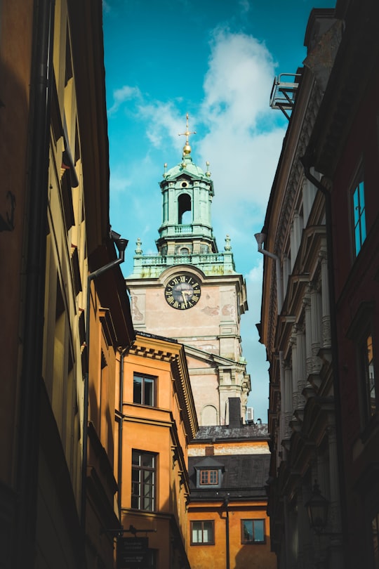 brown and gray building in Storkyrkan Sweden