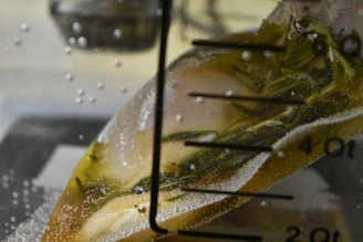 A close-up image of a vacuum-sealed bag containing a piece of meat and herbs, likely rosemary, submerged in water. The image includes measurement markings on a container and shows bubbles indicating a sous-vide cooking process.