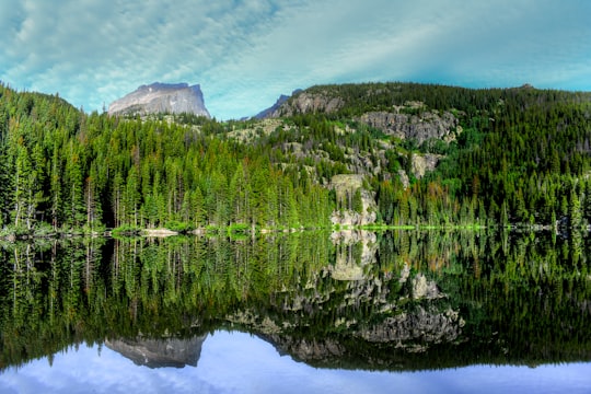 green pine trees in Rocky Mountain National Park United States