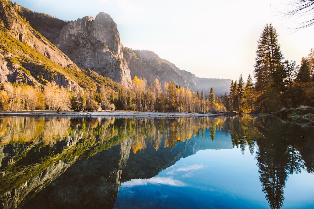 lake near pine trees and mountain