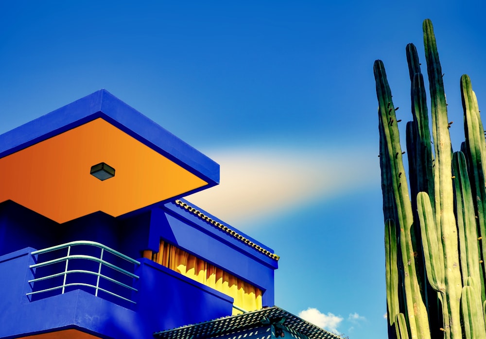 Blau und orange gestrichenes Haus in der Nähe von Kaktus