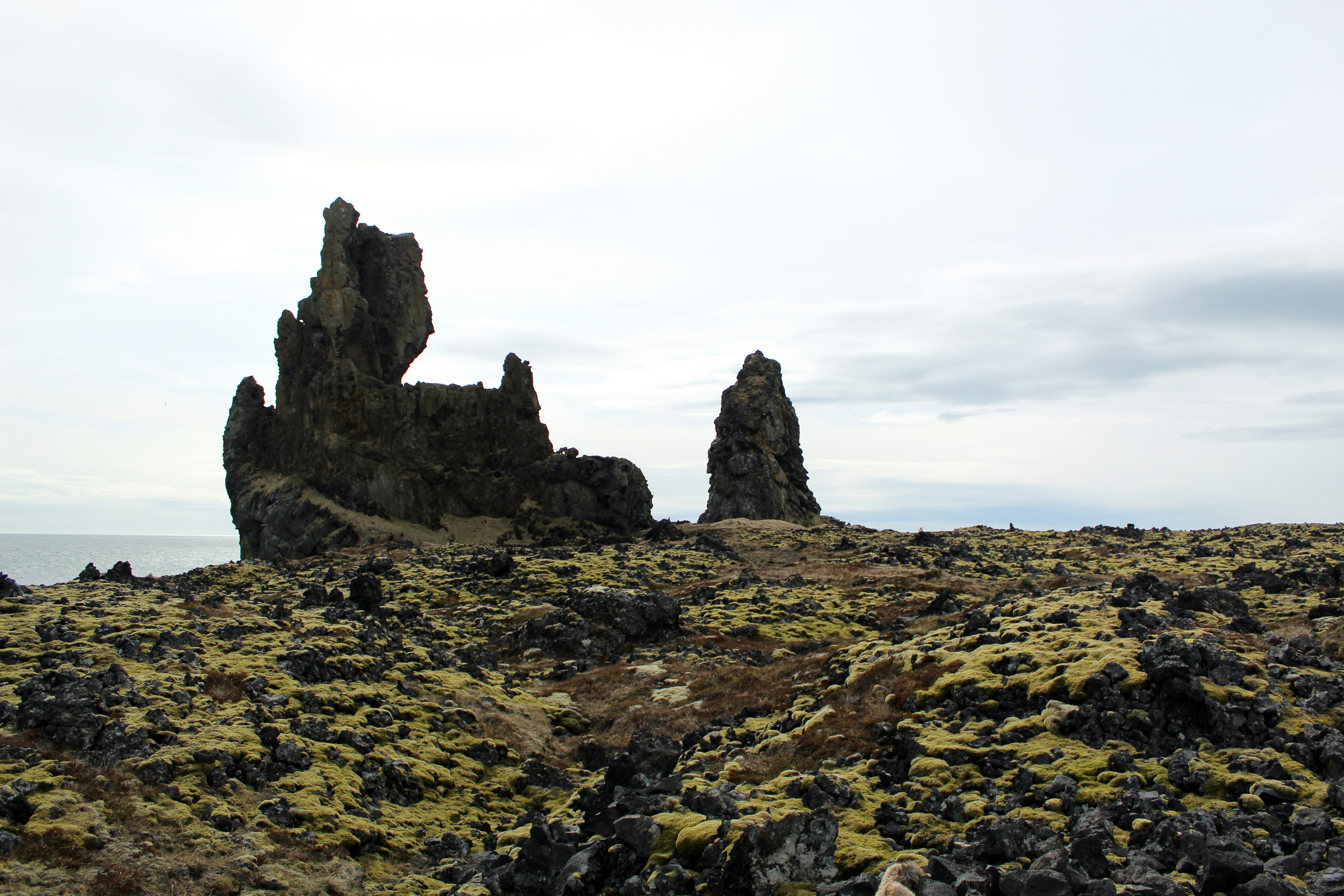 Photo by kellymccrimmon