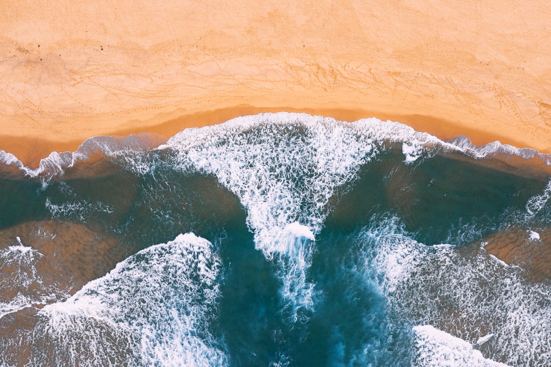 Watercourse photo spot 1 Dover Rd Bondi Beach