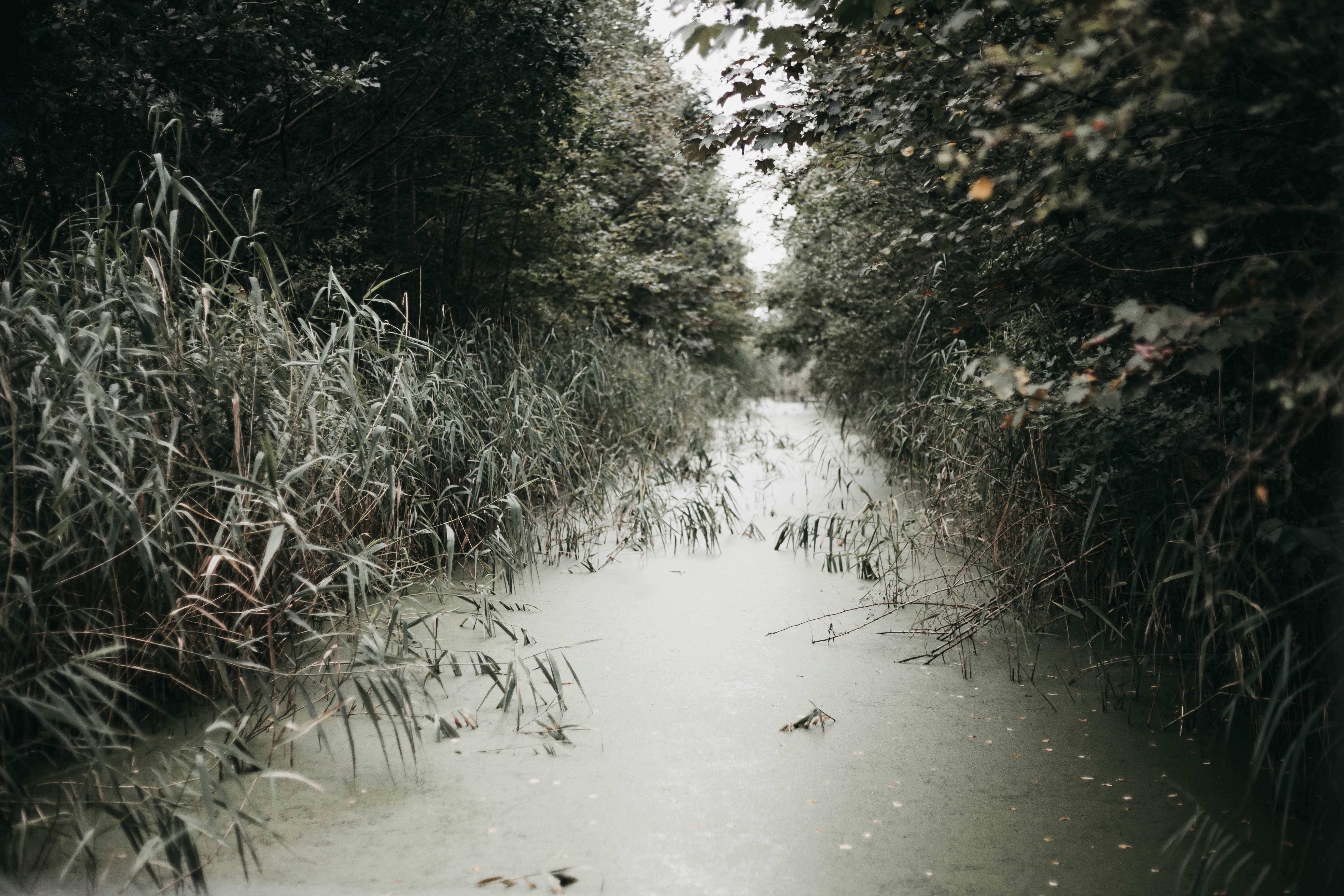 Photo by isaacmehegan