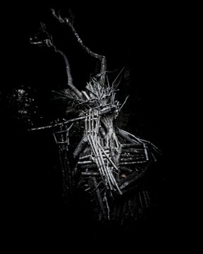 A detailed illustration of a mythical forest creature blending into twisted branches.