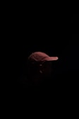 A person wearing a cap is partially illuminated, with the rest of the figure shrouded in darkness, creating a mysterious and dramatic effect.