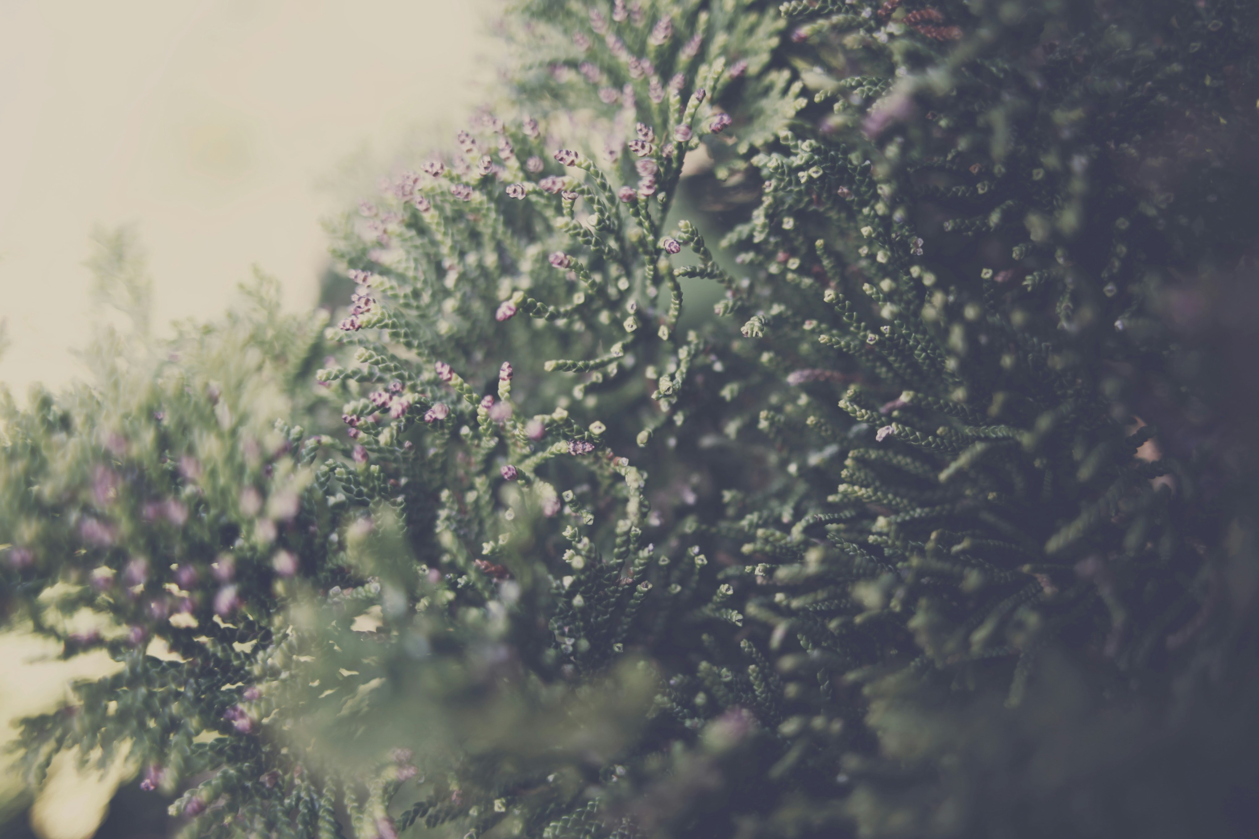 Photo by kasperowenede