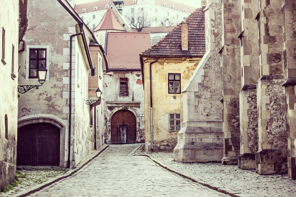 architectural photography of bricked houses