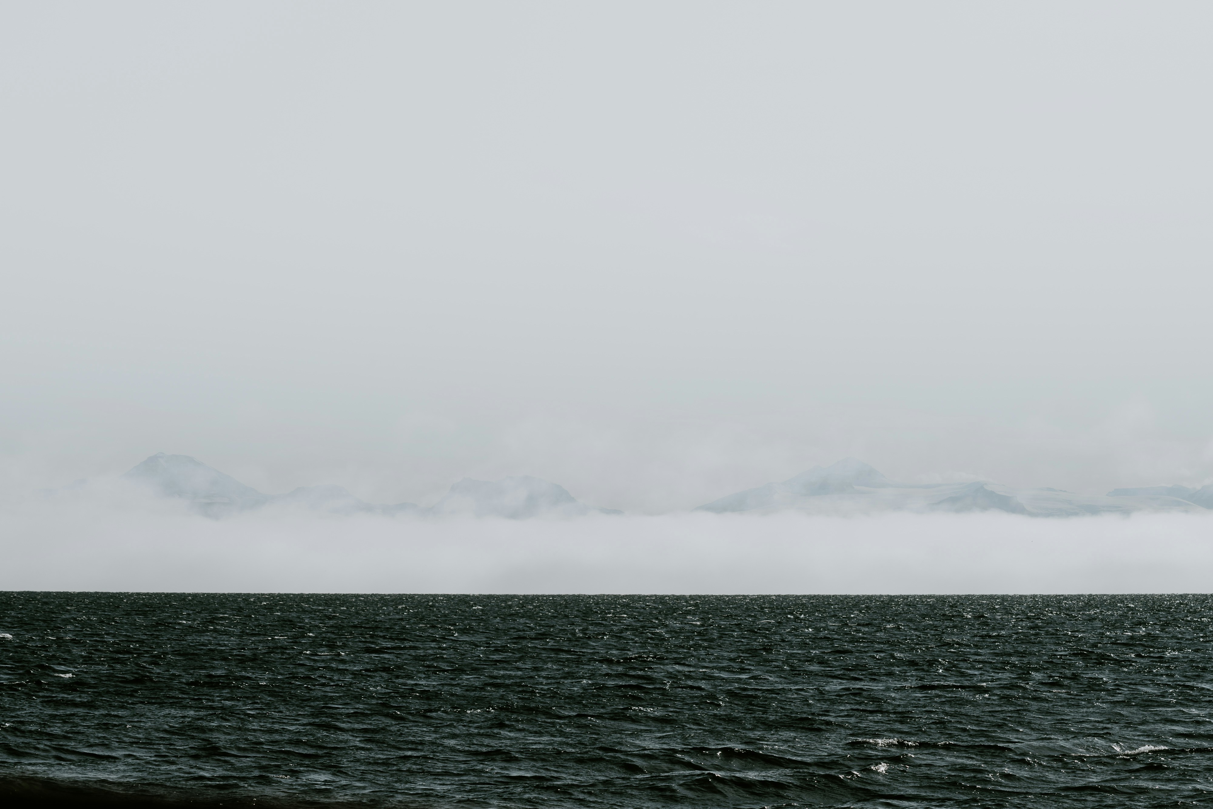 Photo by anniespratt