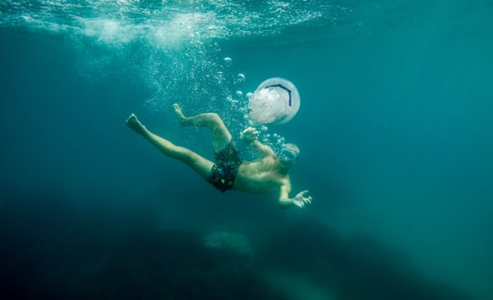 underwater photography of man near on jellyfish in Calabria Italy