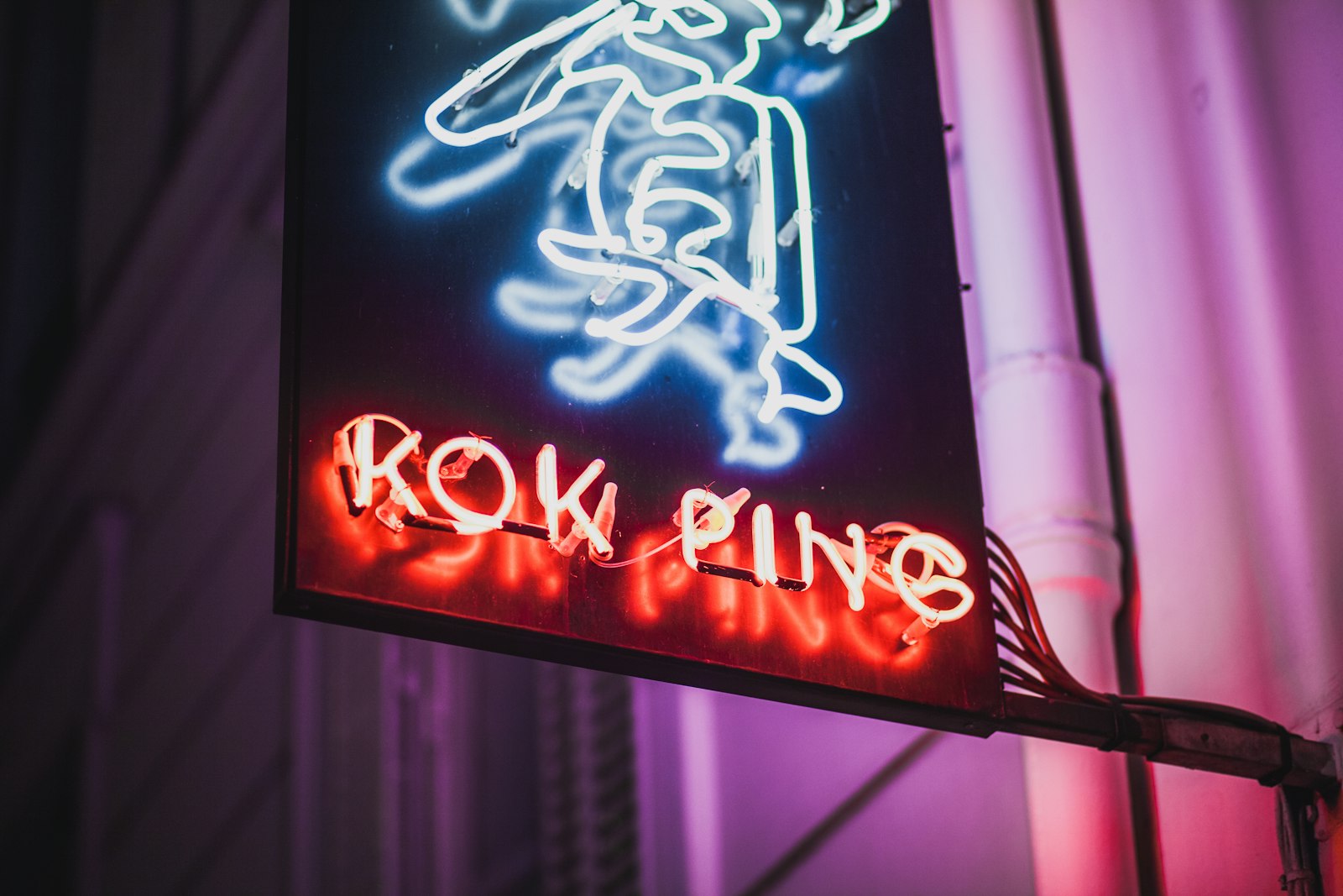 Canon EOS 5D Mark II + Canon EF 85mm F1.8 USM sample photo. Rok ping neon sign photography