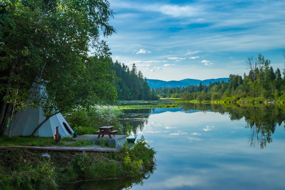 lake surrounded by trees