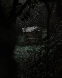 Cabane abandonnée - escape game Hyères