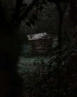 A secluded, rustic wooden cabin surrounded by dense forest and low light conditions. The structure is partially obscured by branches and leaves, creating a mysterious and eerie atmosphere.