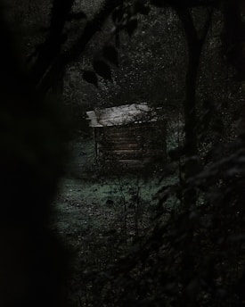 A secluded, rustic wooden cabin surrounded by dense forest and low light conditions. The structure is partially obscured by branches and leaves, creating a mysterious and eerie atmosphere.