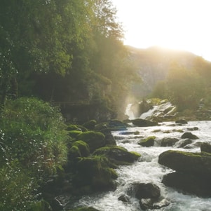 A serene natural landscape with a clear flowing river and lush greenery surrounding the water source.