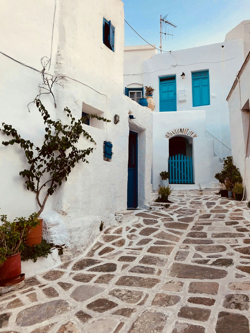 white concrete buildings