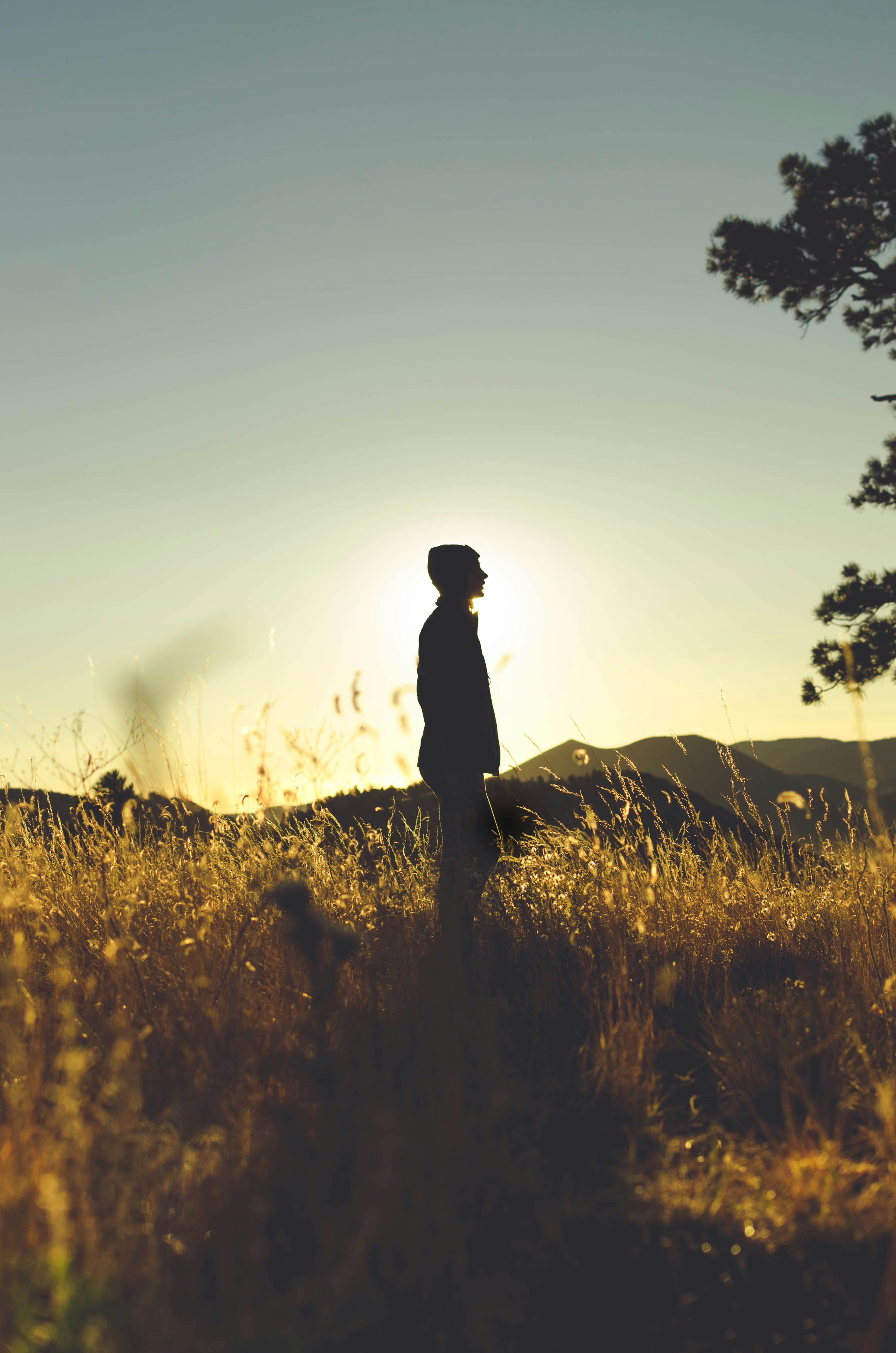 Photo by jaredmurray