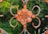 An ornate metal decoration with a floral pattern is prominently displayed. The intricate design features a flower in the center with petal-like elements and curving hooks extending outwards. The metal has a weathered, rusty appearance, contrasted against a lush, green, out-of-focus background.