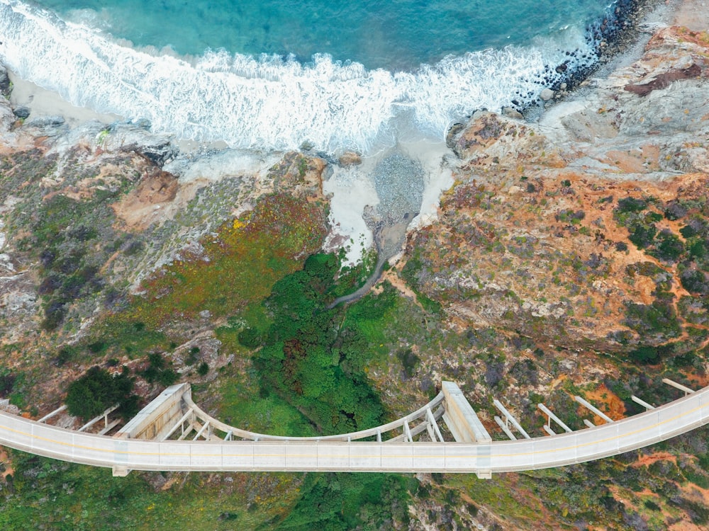 aerial photography of bridge above forest and body of water